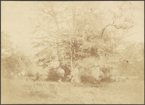 [Paysage] - Unknown artist