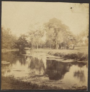 [Paysage avec étang]