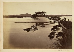 [Paysage avec lac et arbres]
