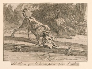 "Le chien qui lâche sa proie pour l