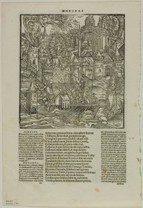 Feuille de l