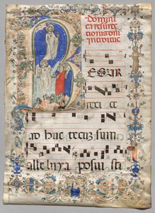 Feuille d