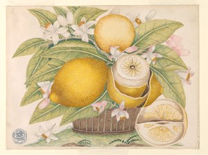 Citrons et fleurs de citronnier dans un panier - Unknown artist