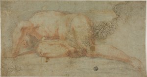 Homme allongé, bras sur la tête