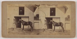 [Homme tenant le cheval par la bride] - Unknown artist