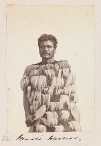 Guerrier Maori, c.1876 - Unknown artist