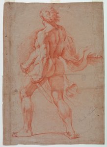Guerrier nu, vu de dos - Unknown artist