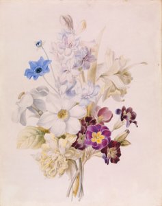Narcisse et autres fleurs - Unknown artist
