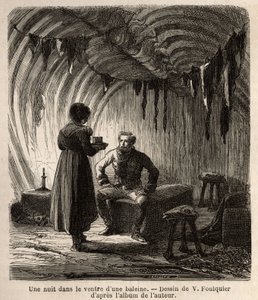 Une nuit dans le ventre d