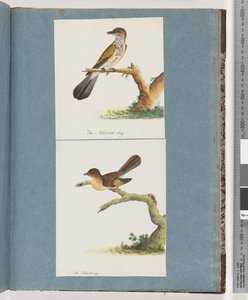 Page 111. Oiseau non identifié. 112. Oiseau non identifié. - Unknown artist