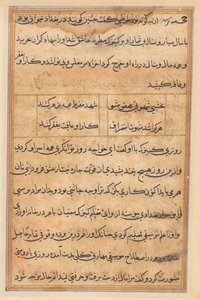 Page des Contes du Perroquet (Tuti-nama) : page de texte