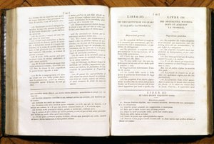 Pages du Code civil de Napoléon. en français et italien