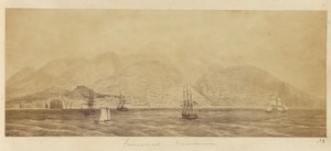 [Panorama du port, Funchal, Madère]
