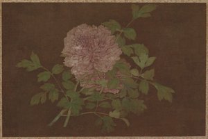 Pivoines - Unknown artist