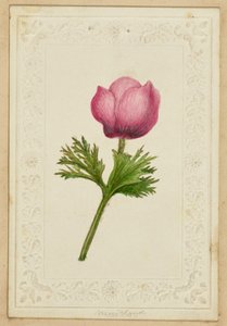 [Carte de notes à fleurs roses] - Unknown artist