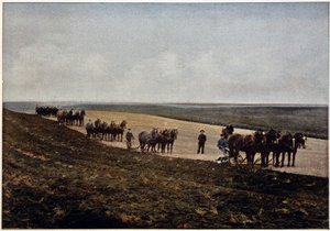 Labourage dans les plaines du Manitoba (Canada), fin du 19ème siècle - Unknown artist
