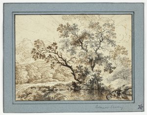 Étang dans un paysage boisé - Unknown artist