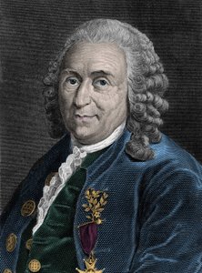 Portrait de Charles Linné (Carl von Linné, Linnéus 1707-1778), naturaliste suédois. Gravure du 19e siècle. - Unknown artist