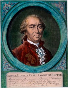 Portrait de George Louis Le Clerc, Comte de Buffon (1707-1788), naturaliste et écrivain français. Gravure du XVIIIe siècle. Collection privée. - Unknown artist