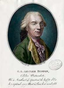 Portrait de George Louis Le Clerc, Comte de Buffon - Unknown artist