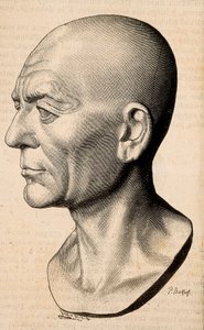 Portrait de Publius Cornelius Scipio (Scipion l