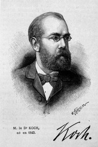 Portrait du médecin allemand Robert Koch (1843-1910) - Unknown artist