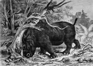 Préhistoire : dinosaure de la famille des périssodactyles, ancêtre du rhinocéros, déracinant un arbre. Gravure du 19ème siècle - Unknown artist