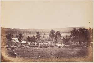 Rangers Valley, Nord-Est, Glen Innes