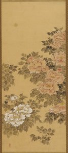 Pivoines rouges et blanches - Unknown artist