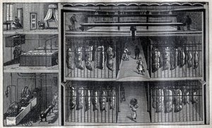 Chambres frigorifiques pour la viande - Gravure dans « La Science française » - Unknown artist
