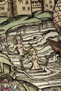 Représentation de sirènes. Gravure du 16ème siècle