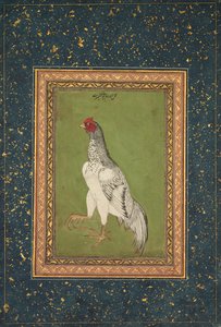 Coq - Unknown artist