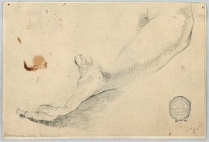 Croquis : Avant-bras - Unknown artist