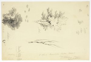 Croquis d