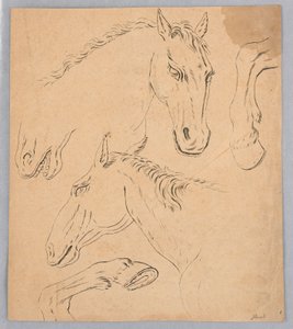 Esquisses de têtes et sabots de chevaux - Unknown artist