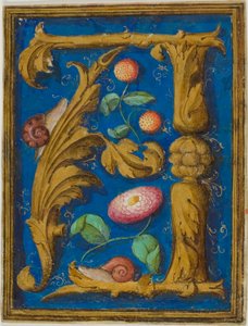 Escargots, fraises et fleur dans une initiale "A" décorée d