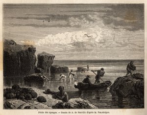 Pêche à l
