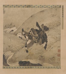 Dispute de mynas au-dessus d
