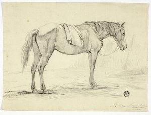 Cheval debout - Unknown artist