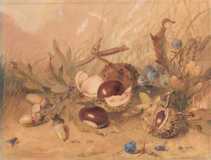 Nature morte avec glands et marrons