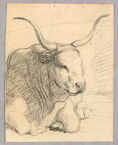 Étude : une vache couchée - Unknown artist