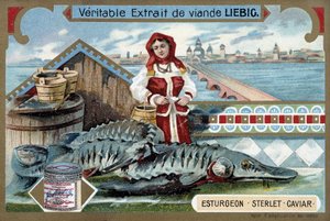 Esturgeon, sterlet, caviar, avec une jeune femme tenant des seaux, devant une ville russe - Chromolithographie Liebig - Unknown artist