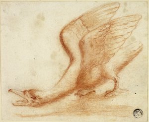 Cygne