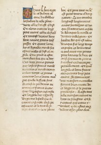 Text Page - Unknown artist