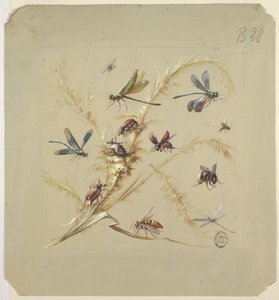 Motif textile ou papier peint : Insectes - Unknown artist