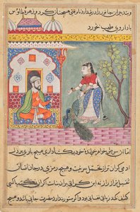 La femme du Brahmane qui a tué un paon et mangé sa vésicule biliaire sur les conseils du médecin, des Contes d