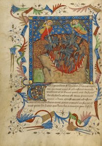 La chute des anges rebelles - Unknown artist