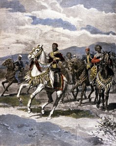 Le roi d