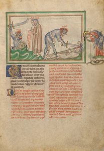 Le massacre des deux témoins par la bête - Unknown artist