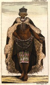 La Vénus Hottentote, femme Bochiman. Gravure d